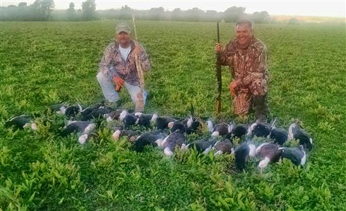 Craig and Tony's successful Paradise Duck hunt